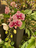 BIG4 Mackay Blacks Beach Holiday Park