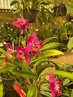 BIG4 Mackay Blacks Beach Holiday Park