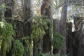 BIG4 Mackay Blacks Beach Holiday Park