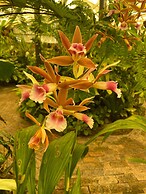 BIG4 Mackay Blacks Beach Holiday Park