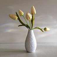 Chaucer Palms Boutique Bed & Breakfast