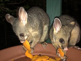 Wanderers Retreat Port Stephens
