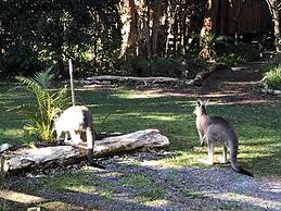 Wanderers Retreat Port Stephens