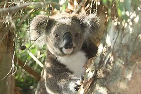 Wanderers Retreat Port Stephens