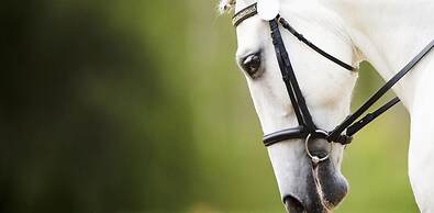 Milton Park Country House Hotel & Spa