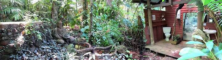 Rainforest Hideaway