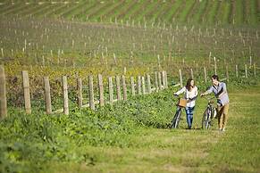 Spicers Vineyards Estate