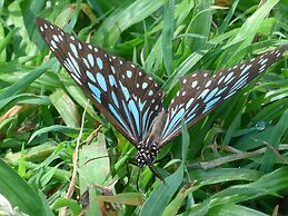 Sunshine Valley Cottages