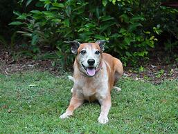 Sunshine Valley Cottages