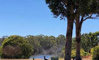 Harmony Forest Accommodation and Vineyard