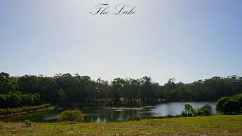 Harmony Forest Accommodation and Vineyard