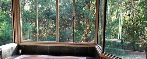 Harmony Forest Accommodation and Vineyard