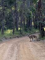 Denmark Forest Retreat