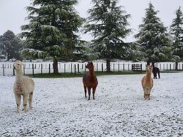 Ruapehu Country Lodge