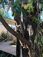 Sandpiper Motel Apollo Bay