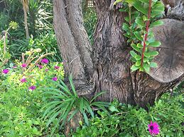 Springtide Studio Apartments