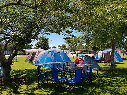 Levin Top 10 Holiday Park