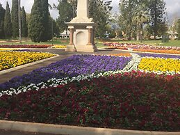 Blue Violet Motor Inn