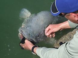 Mulwala Paradise Palms Motel