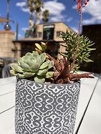 Mulwala Paradise Palms Motel