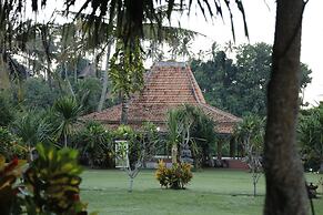 Pondok Pitaya Hotel, Surfing & Yoga