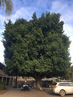 Darling Junction Motor Inn Wentworth