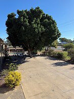 Darling Junction Motor Inn Wentworth