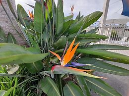 Clyde View Holiday Park