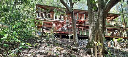 Treetops Accommodation Montville