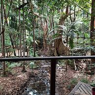 Treetops Accommodation Montville