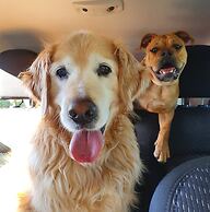 Holiday Lifestyle Henty Bay Portland