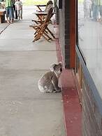 Holiday Lifestyle Henty Bay Portland