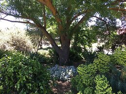 Lyreen's Apartment B&B