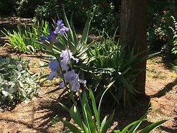 Lyreen's Apartment B&B