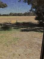 Marri Lodge & Cottages