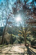 Big4 Tasman Holiday Parks - Bright