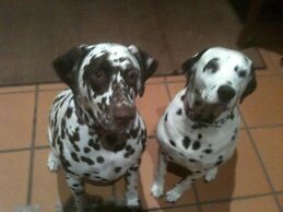 Tantarra Guest House