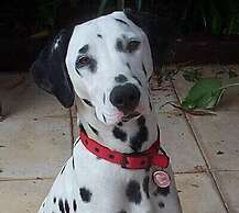 Tantarra Guest House