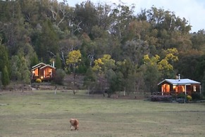 Wisteria Cottage and Cabins