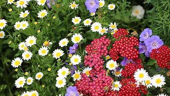 Bk's Counties Motor Lodge