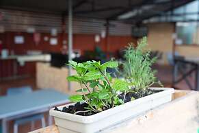 Tasman Holiday Parks - Albany