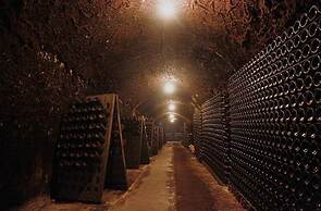 Lake Fyans Holiday Park