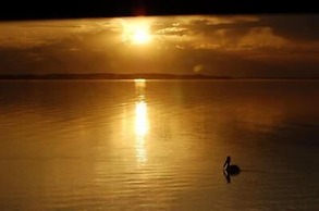 Meningie's Waterfront Motel