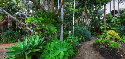 Maleny Tropical Retreat Balinese B&B