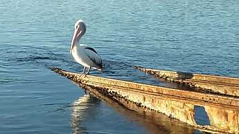 The Peninsular Merimbula