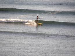 Penguin Waterfront Escape