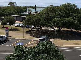 The Dunes Cotton Tree