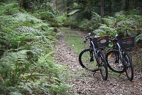 Woodlands Rainforest Retreat