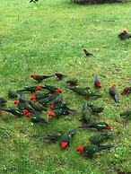 Woodlands Rainforest Retreat