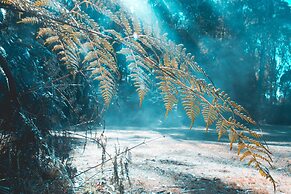 Woodlands Rainforest Retreat